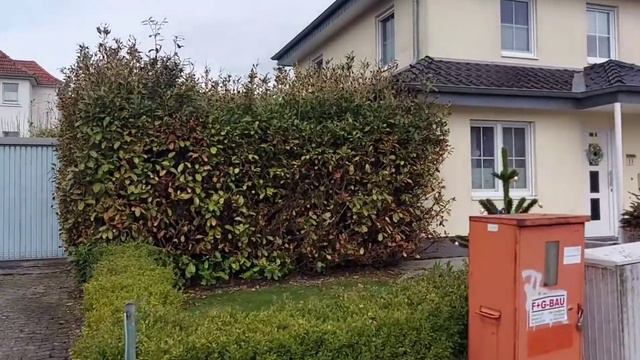 Что сказала врач👩⚕️ / Всем замечательных выходных! ⚘🌼🍀 смотреть онлайн