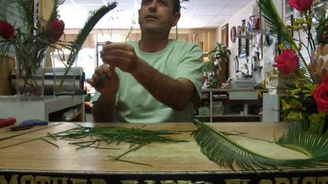 how to make a heart from a palm frond смотреть онлайн