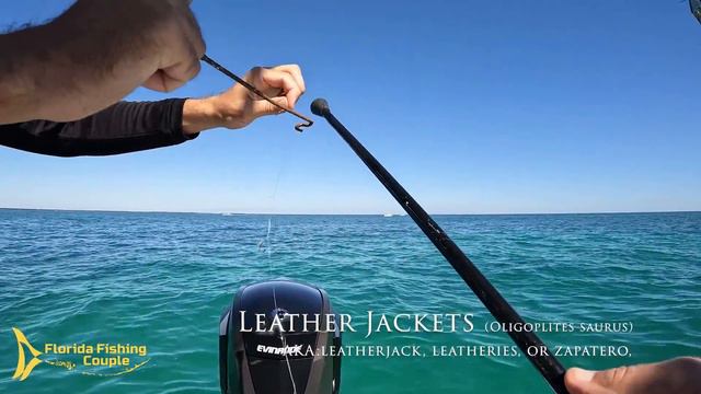 Two Days of Fishing with South Florida Fishing Channel | Grouper, Mutton, Tuna, and the Girls! смотреть онлайн