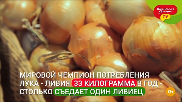 Интересные факты про лук смотреть онлайн