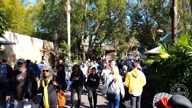 Disney's Animal Kingdom 2023 Complete Walking Tour in 4K | Walt Disney World Florida January 2023 смотреть онлайн