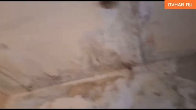 Из-за протекающей крыши годами страдают хабаровчане смотреть онлайн