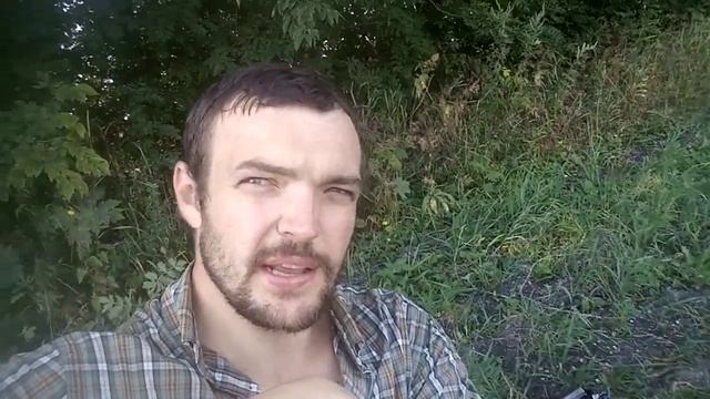 Охота на перепела с легавой 2022 после дождя! Попал под град на охоте! смотреть онлайн