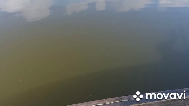 Рыбалка на поплавок с лодки на Азове смотреть онлайн