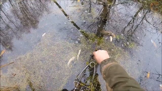 Охота на бобра с капканом КП 320Х600 (Будни охотника и рыбака) смотреть онлайн