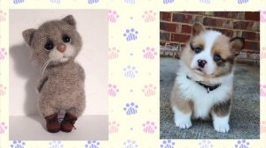 CHOOSE YOUR GIFT ? ВЫБИРАШКИ! ? Выбери себе подарок.? Милые питомцы. Выбиралки