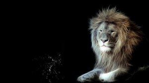 ФУТАЖИ -  ЛЕВ -ДЛЯ ВИДЕОМОНТАЖА