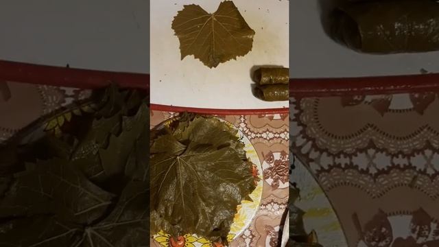 Долма из виноградных листьев::: смотреть онлайн