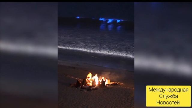 Светящиеся волны. Биолюминесценция в Сан-Клементе. смотреть онлайн