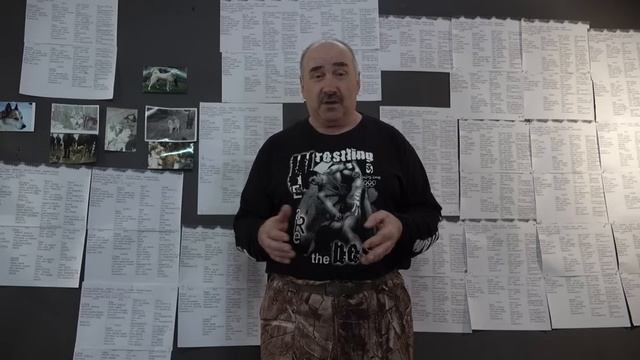 Происхождение собак Удмуртского питомника ЗСЛ. Часть 1 смотреть онлайн