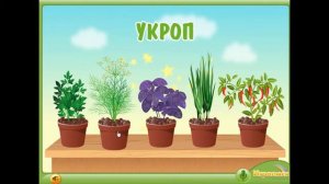 РАЗВИВАЮЩИЕ МУЛЬТФИЛЬМЫ ДЛЯ МАЛЫШЕЙ. ОГОРОД НА ПОДОКОННИКЕ.