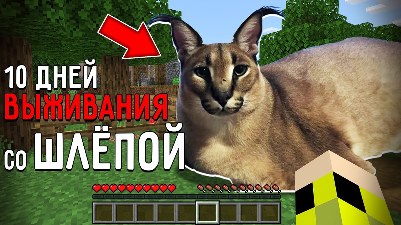 10 Дней Выживания с БОЛЬШИМ ШЛЁПОЙ в Мире майнкрафт ! Страшный сид BIG FLOPPA MINECRAFT смотреть онлайн