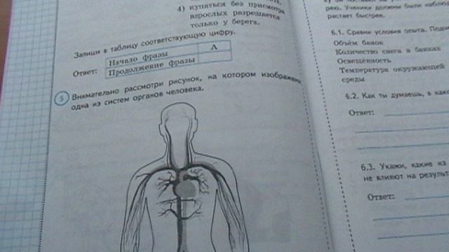 ВПР Окружающий мир 4 класс, Вариант 1