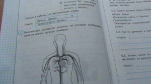 ВПР Окружающий мир 4 класс, Вариант 1