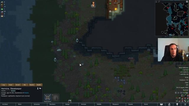 MY FIRST MINIONS - 01 Rimworld Of Magic MEDIEVAL NECROMANCER смотреть онлайн