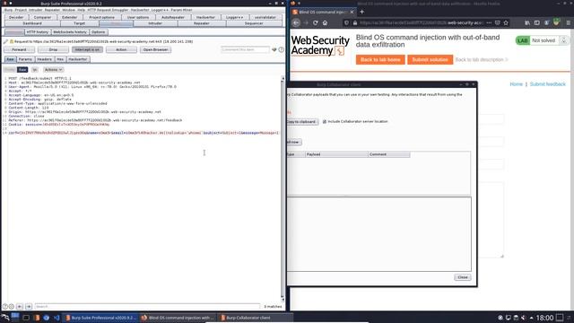 Blind OS command injection with out of band data exfiltration (Video solution, Audio) смотреть онлайн