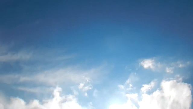 ВОРЕ Богородское смотреть онлайн