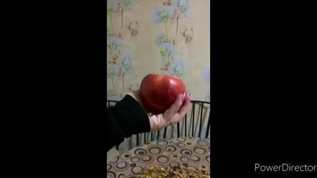 Реклама в СКС (СРС 1) Гула Кристина Евгеньевна смотреть онлайн