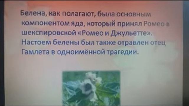 Тема: "Ядовитые растения в природе". Педагог Акбулдина О.В. смотреть онлайн