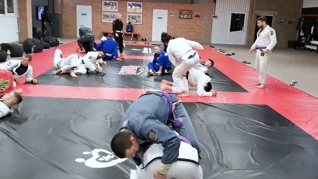 ЛУЧШИЙ САМБИСТ-ПАРТЕРОВИК В МИРЕ И ЕГО БОЛЕВЫЕ НА НОГИ! Смотреть без регистрации и СМС смотреть онлайн