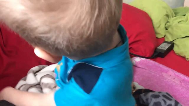 Олег играет с Джорданом (Французкий бульдог ) смотреть онлайн