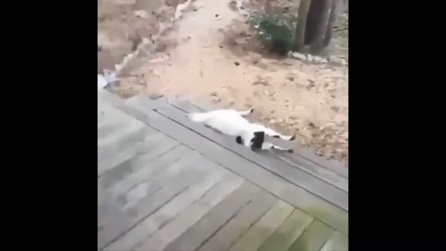коза упала смотреть онлайн