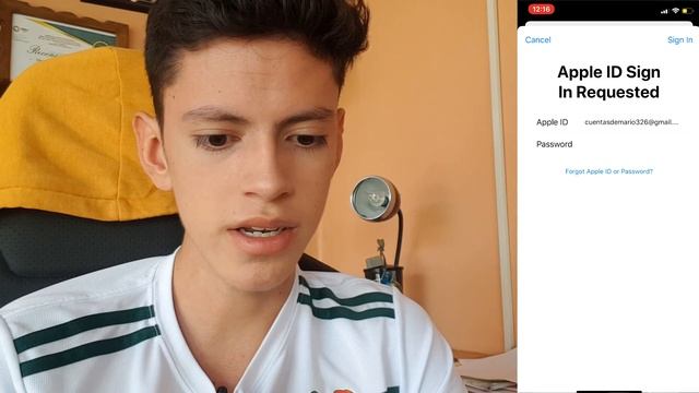 COMO DESCARGAR MINECRAFT DESDE APPSTORE EN IPHONE / IPAD 2020 AGOSTO смотреть онлайн