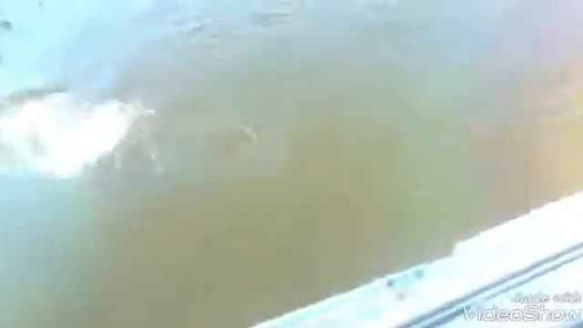 Рыбалка в Астрахани База отдыха Дарданеллы смотреть онлайн