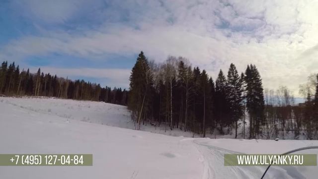 Свой выход в лес в Дачном Поселке Ульянки. смотреть онлайн