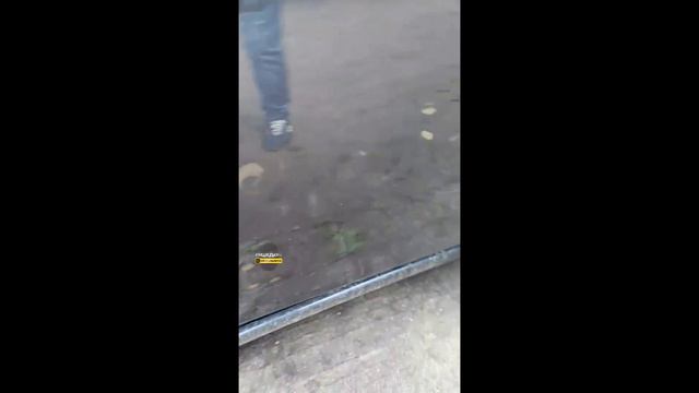 Коза напала на автомобиль (часть 2) смотреть онлайн