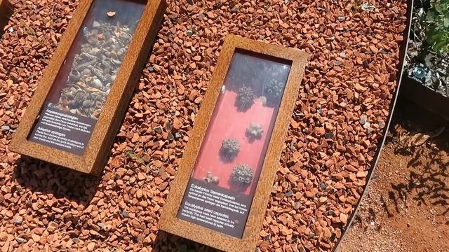 САДЫ МИРА в Берлине / Gärten der Welt / Gardens of World смотреть онлайн