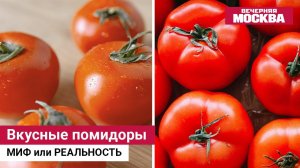 КАК ИЗМЕНИТЬ ВКУС ПОМИДОРОВ? Рассказывает физик-блогер Дмитрий Побединский