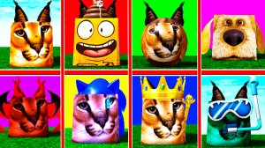 Я НАШЕЛ ВСЕ 36 МОРФОВ ЭВОЛЮЦИИ Жизни ШЛЁПЫ В РОБЛОКС! НУБ и ПРО ВИДЕО ROBLOX Find The Floppa