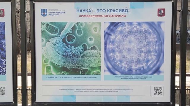 Фотовыставка "Наука – это красиво" смотреть онлайн