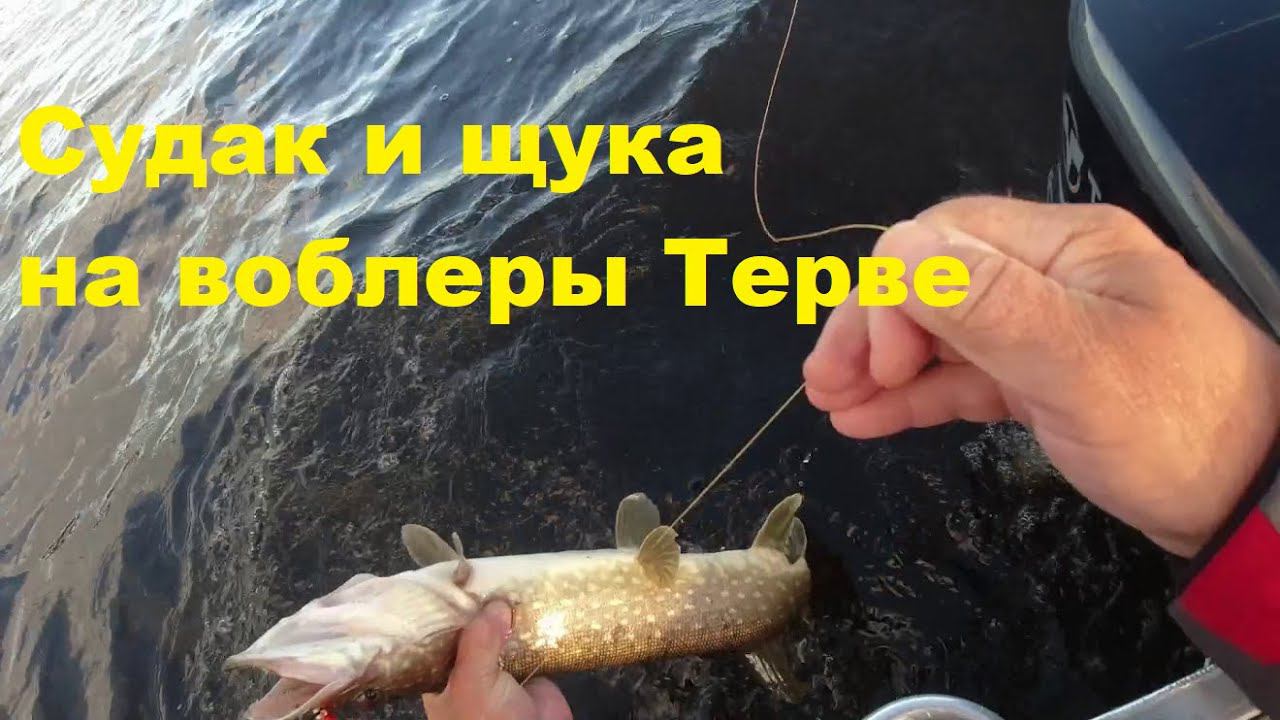 Воблеры Терве по щуке и судаку смотреть онлайн