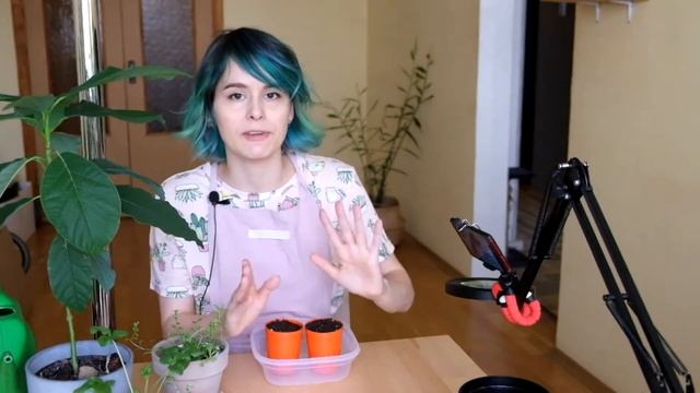 Лаванда из семян. Часть 3: таинственный сорняк. смотреть онлайн