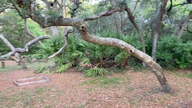 ? побоялась 20 минут ? сон в машине в диких ДЖУНГЛЯХ 15.04.2021