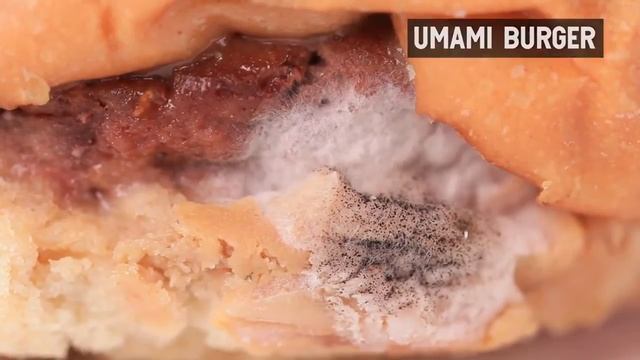 McDonald's или Burger King: какой гамбургер останется съедобным смотреть онлайн