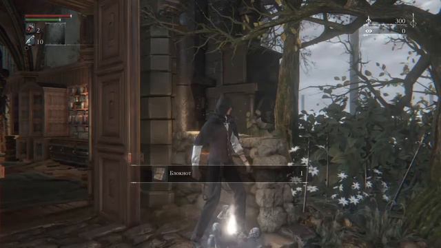 Bloodborne™ с чего начать?