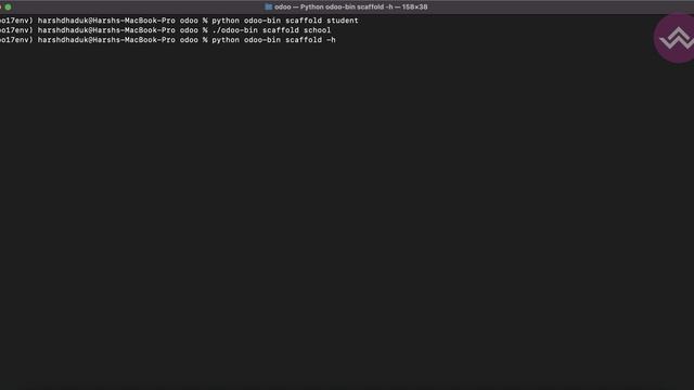 Создайте модуль с помощью команды SCAFFOLD Odoo 17 смотреть онлайн