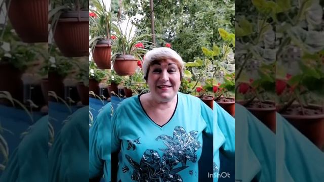 поздравление с днем рождения от всех друзей смотреть онлайн