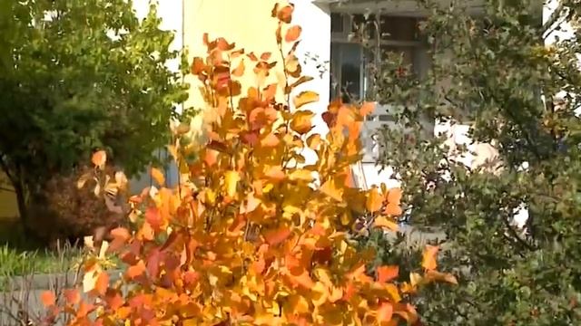 (12+) Лучший учитель географии Московской области смотреть онлайн