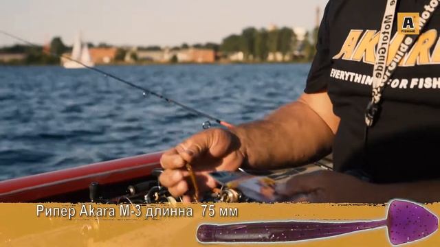 На рыбалку с Сергеем Чудиновым. Ловля на отводной поводок и силиконовые приманки AKARA. смотреть онлайн