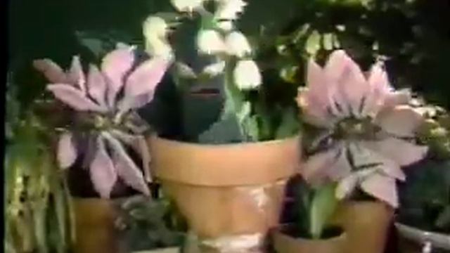 80's Ad's: Poison Control Center of Michigan 1988 смотреть онлайн