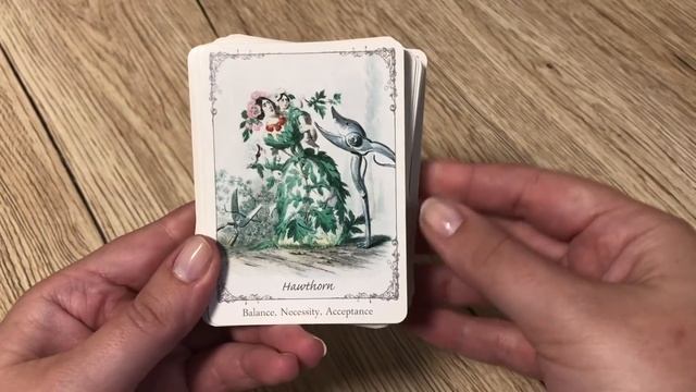 Top 10 Oracle Decks For Beginners смотреть онлайн