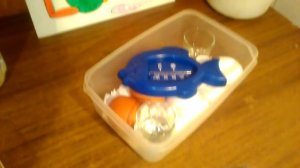 Как вывести цыплят в домашних условиях