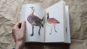 Красная книга. Редкие и охраняемые  растения и животные Волгоградской области. Составитель Брылев