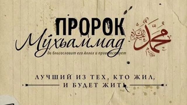 хадисы смотреть онлайн