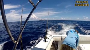 Рыбалка в Атлантическом океане - Доминиканская республика