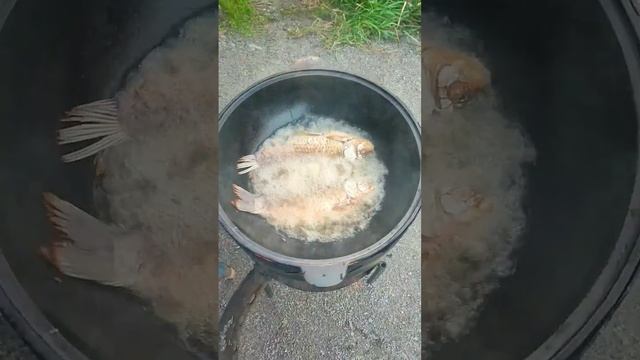 жареная рыбка смотреть онлайн